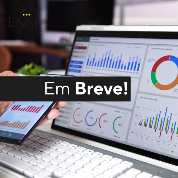 Formação em Gestão de Negócio – Organização, Estratégia e Crescimento